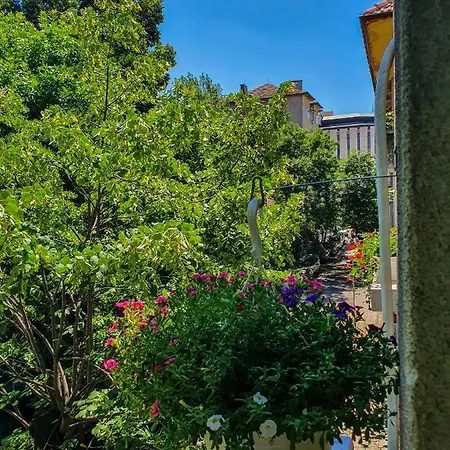 Apartman Roza Szófia